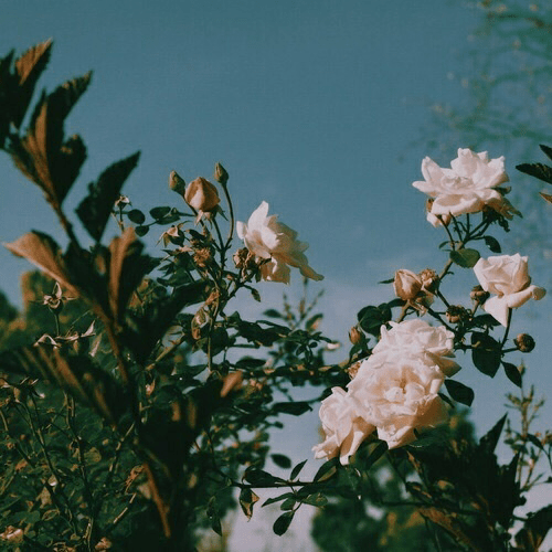 Lay The Past To Rest And Just&nbsp;Be