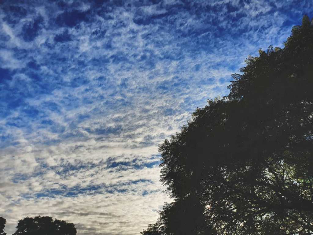 I Will Always Love&nbsp;You