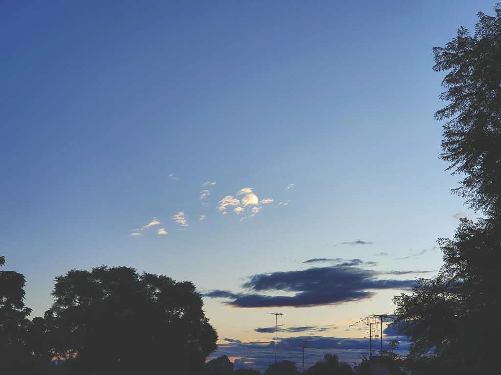 Live To Tell Another&nbsp;Day