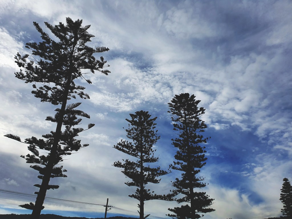 Forever in Flight or&nbsp;Fight