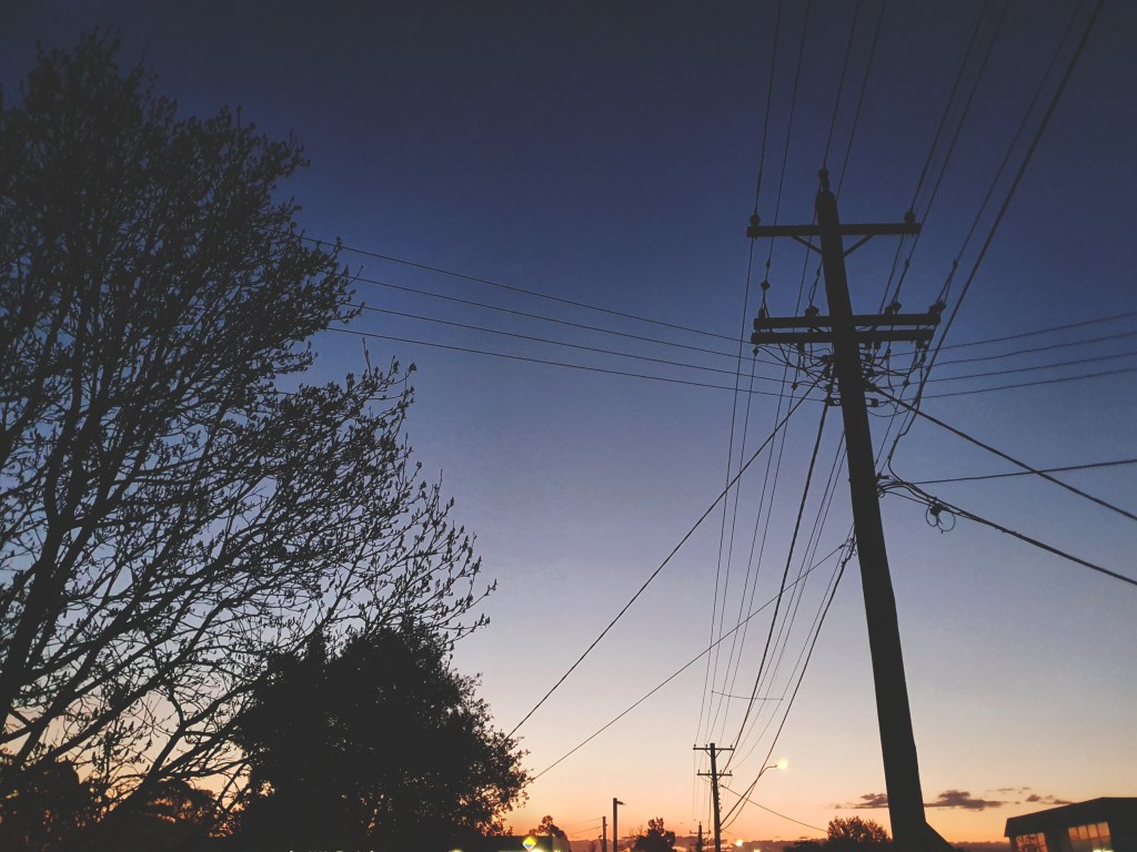 The Delicate Dance of&nbsp;Healing