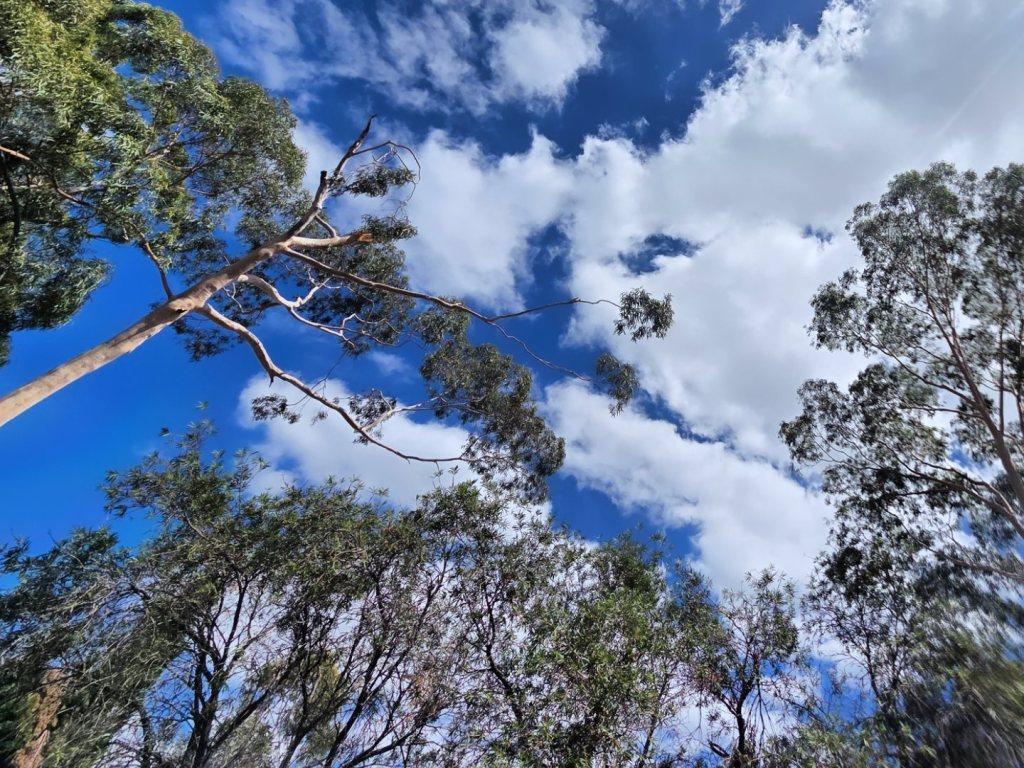 Harvest From The&nbsp;Loss